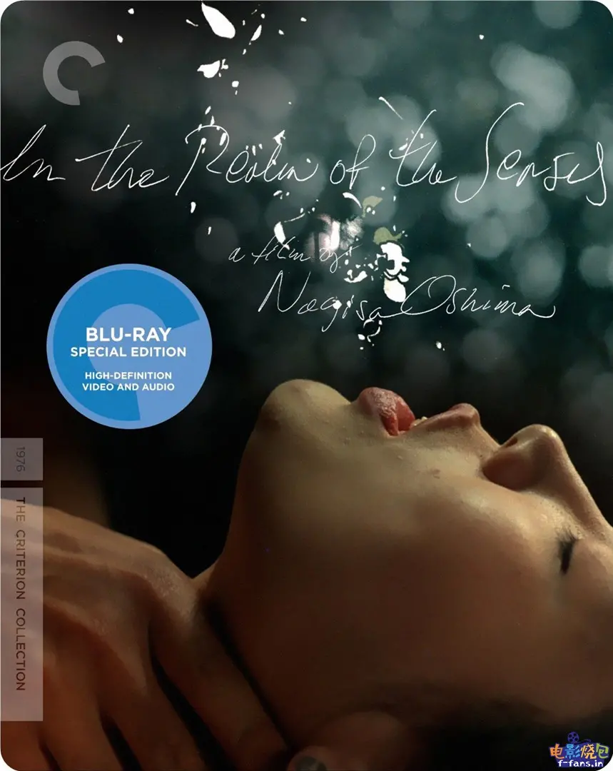 感官世界：感官探险的感官盛宴，揭开欲望与现实的迷人面纱