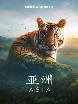 《亚洲》：一部“匹夫江湖之困斗”，让人笑到岔气的现实主义神作！